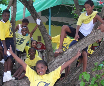 Julius E. Sprauve School fourth graders in a tree at Cruz Bay Beach.