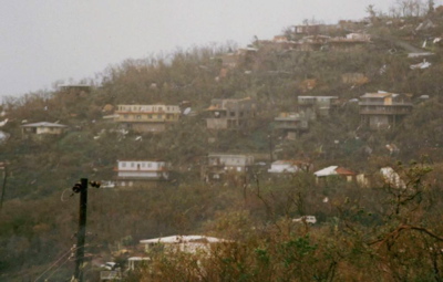 A Hugo-battered hillside on St. John 20 years ago.