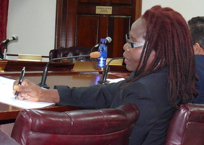 V.I. Bureau of Internal Revenue Director Claudette Watson-Anderson testifies in support of the amnesty measure, but offered a word of caution.