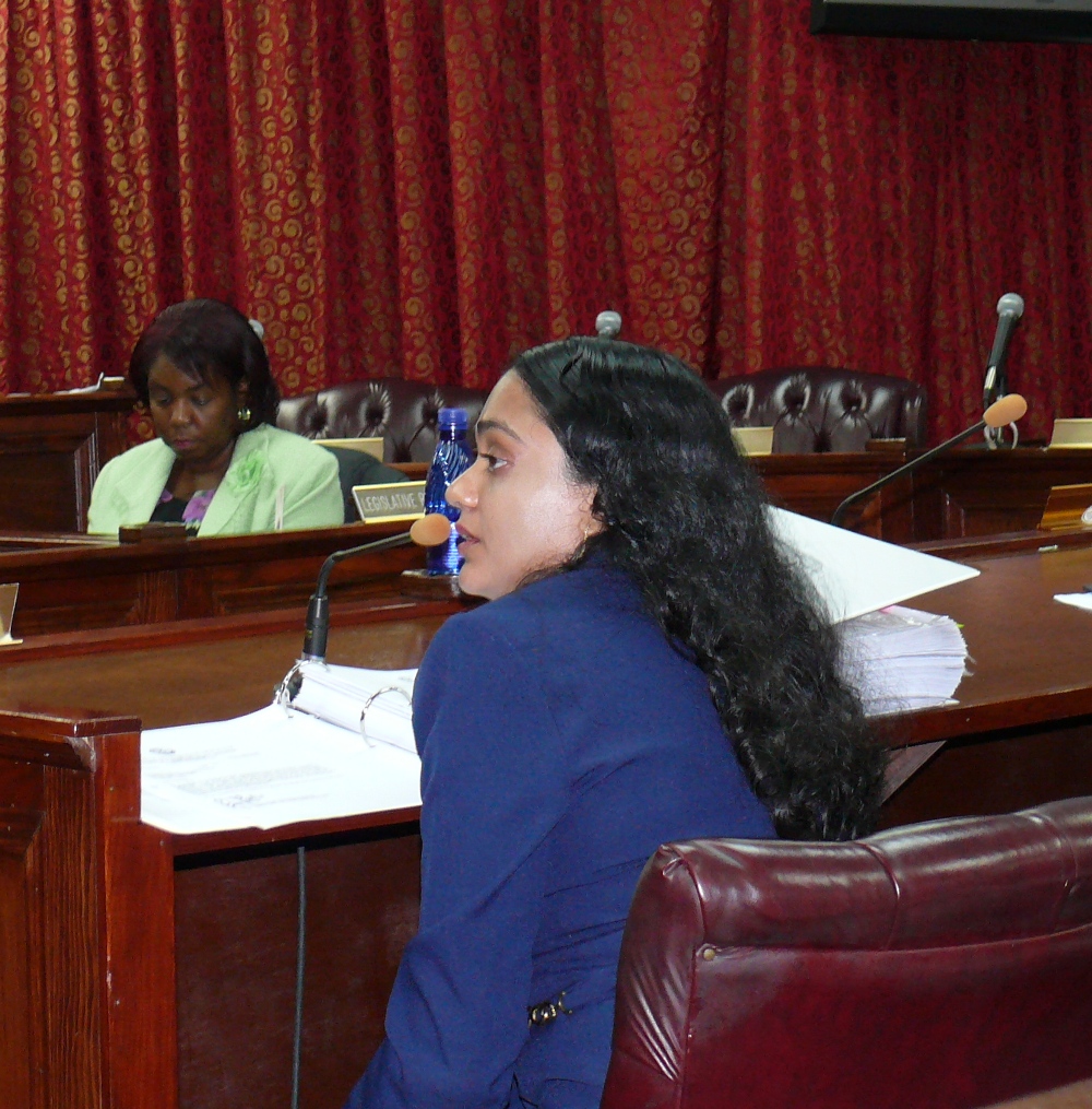 DPNR official Nadine Noorhasan wasn't able to provide all the answers senators were looking for at Wednesday's hearing.