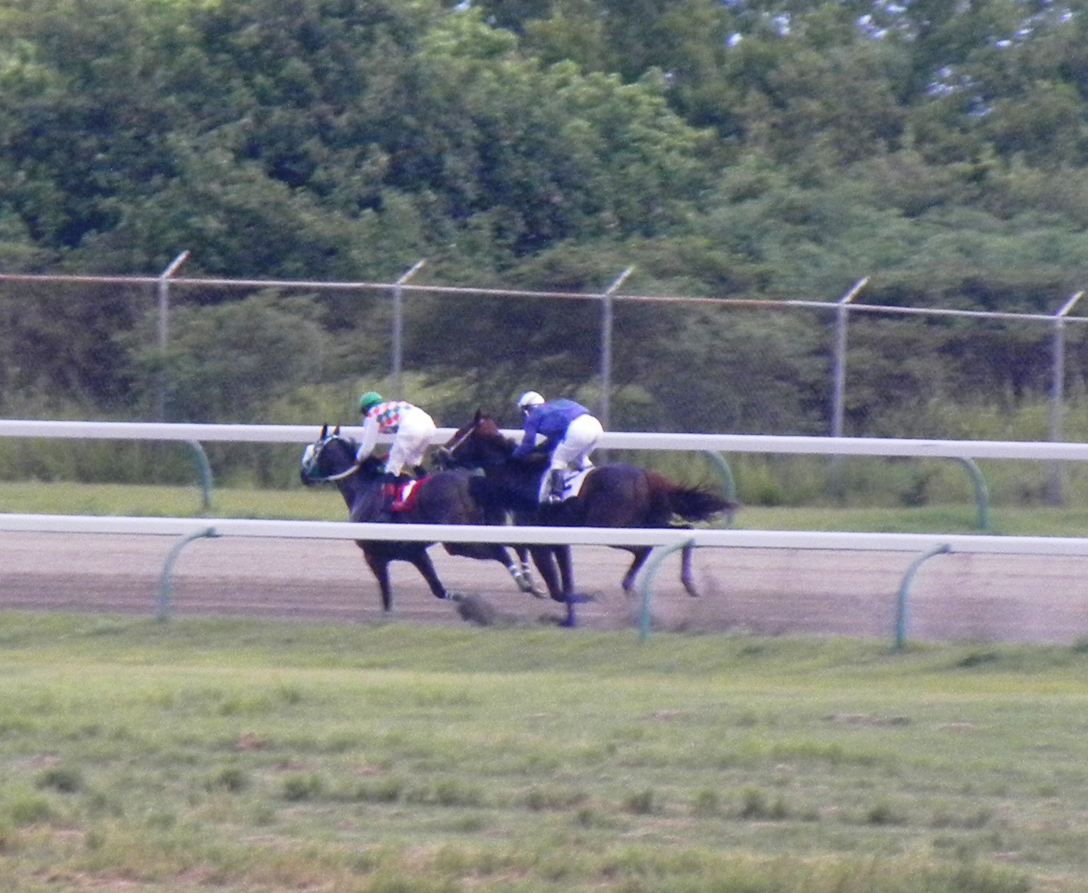 Prototype is as close as he would get to Groomsman in Sunday's $10,000 match race.