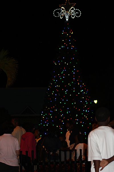 A newly lit tree frames the large crowds that came out for Tuesday's event.