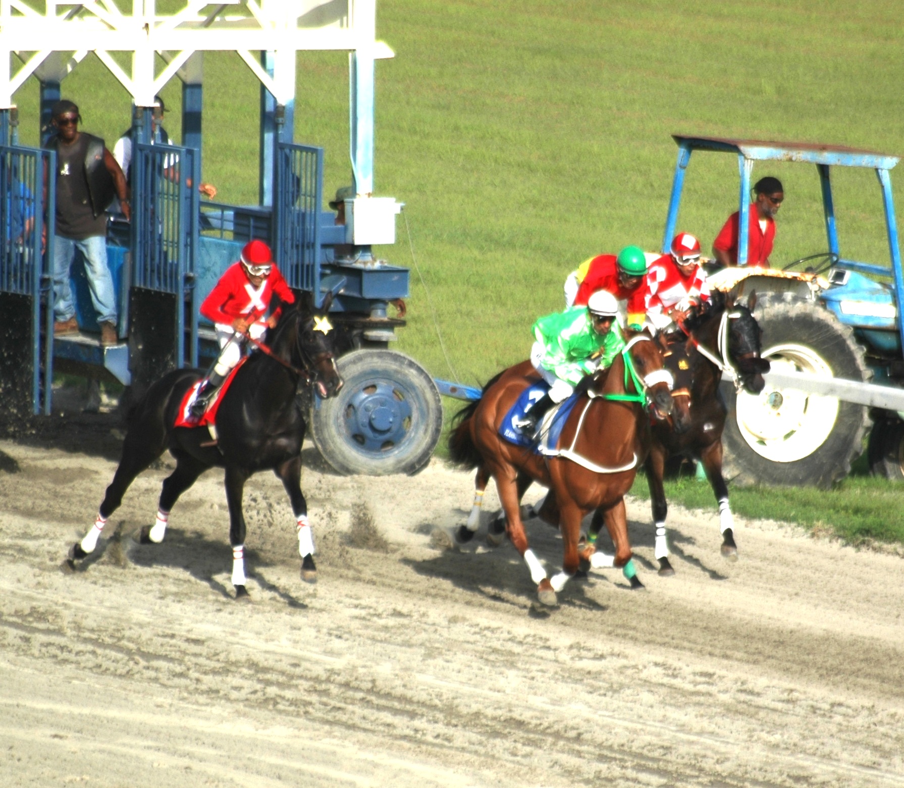 Green Sand (green silks) was quickest out of the gates on his way to wiring the field.