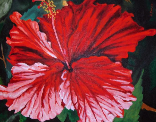 A red hibiscus painted by Jackie Cawley.