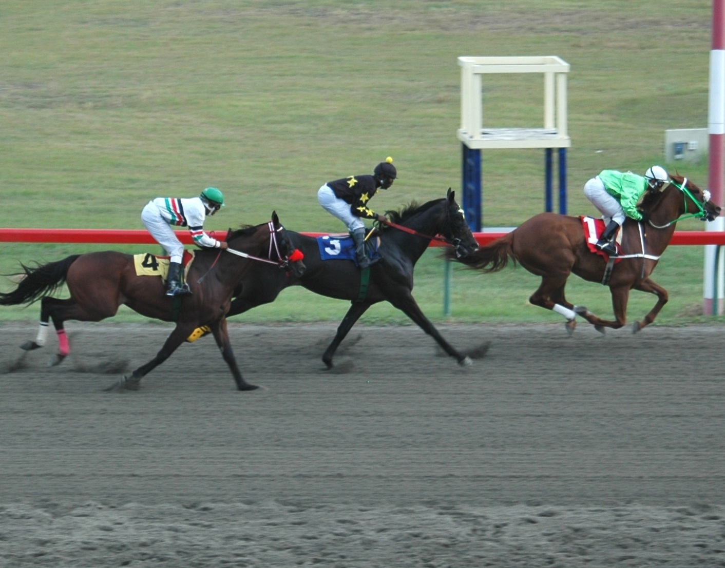 Cherokee Law (center) is slated to return to racing Sunday after a long injury layoff.