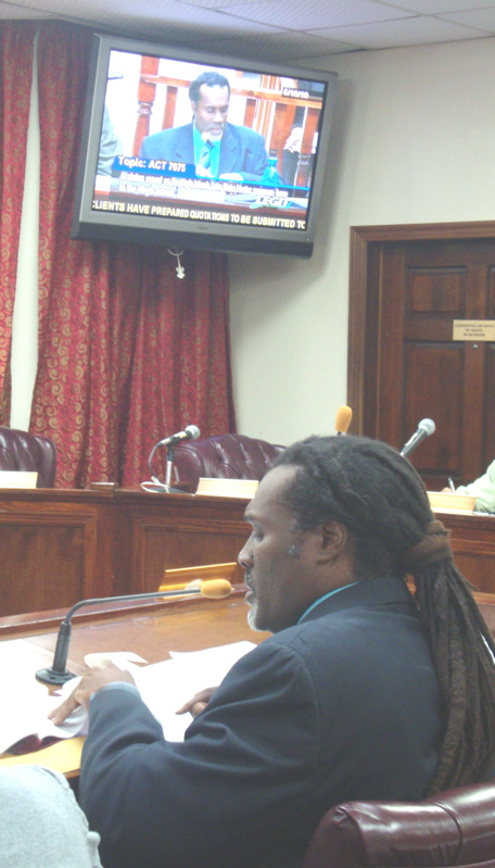 Bevan Smith, director of the V.I. Energy Office, testifies Monday before the Senate Committee on Economic Development, Energy and Technology.
