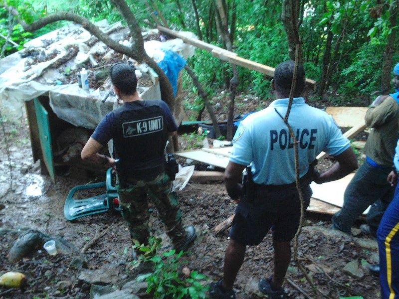 A pit bull found in a wooden shack in Cruz Bay was brought to the Animal Care Center.