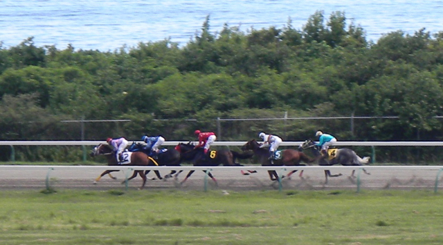 Horses race down the backstretch at the Randall 'Doc' James Racetrack.