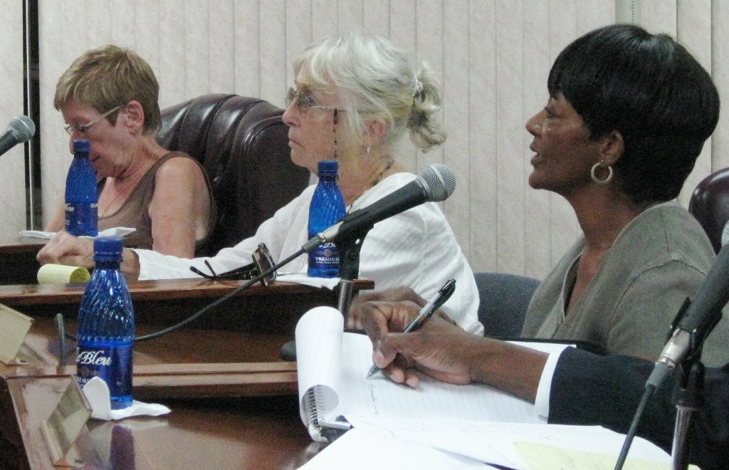 Nurses Sally Browne, Judith Plair and Myia Powell (pictured from left) testify before Wednesday's committee.