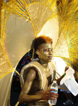 A golden dancer glows in the sun during the 2010 Crucian Christmas Festival Parade.