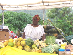 Theresa Davis has a pile of produce for sale at the Bordeaux farmers fair. 