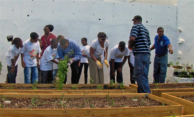 Gov. John deJongh Jr. and first lady Cecile deJongh (center) help students plant the different herbs.