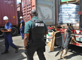 Two Coast Guardsmen (in blue) and a local dog team check out containers at the Port of Christiansted. (Coast Guard photo)