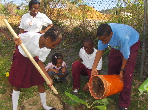 Students work the soil at Addelita Cancryn Junior High School.