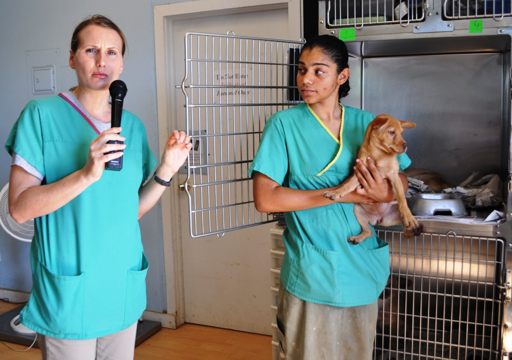Gretchen Sherrill (left) and Stephany DeJesus shows off a puppy up for adoption. 