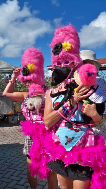 From left, Susan Taube and her dog Haley, and Debbie Pettit with Mademoiselle.  