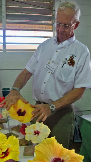 Phil Shuman displays hybrid hibiscus.