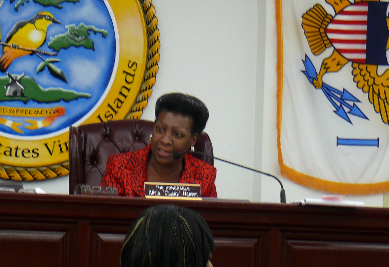 Sen. Alicia "Chucky" Hansen chairing a committee hearing Wednesday.