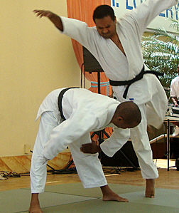 Marco and Malcolm Fabio demonstrate judo skills at Saturday's presentation.