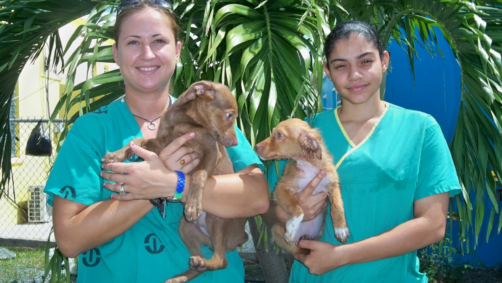 Melissa Pieffer (left) with Lady Gaga, and Stephany DeJesus holding Pat.