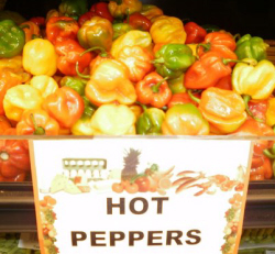 Hot peppers