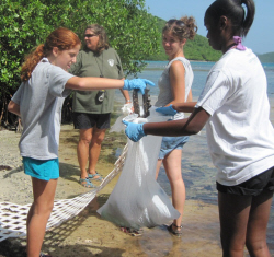 Students from Gifft Hill School clean up the shoreline.