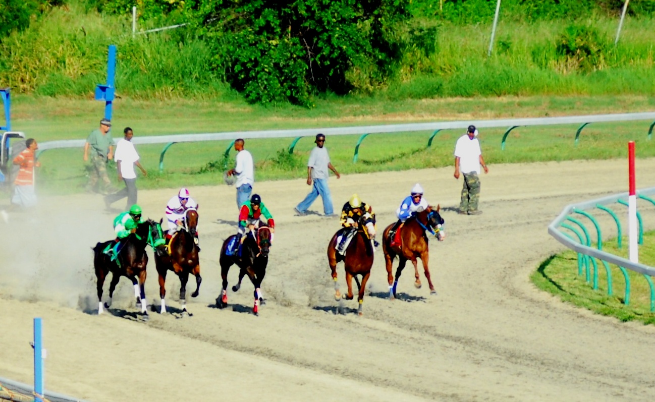 'And they're off!' at the Randall "Doc" James racetrack.