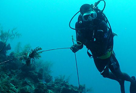 Hunting lionfish off the coast of Belize. (Photo © Paul Cater Deaton)