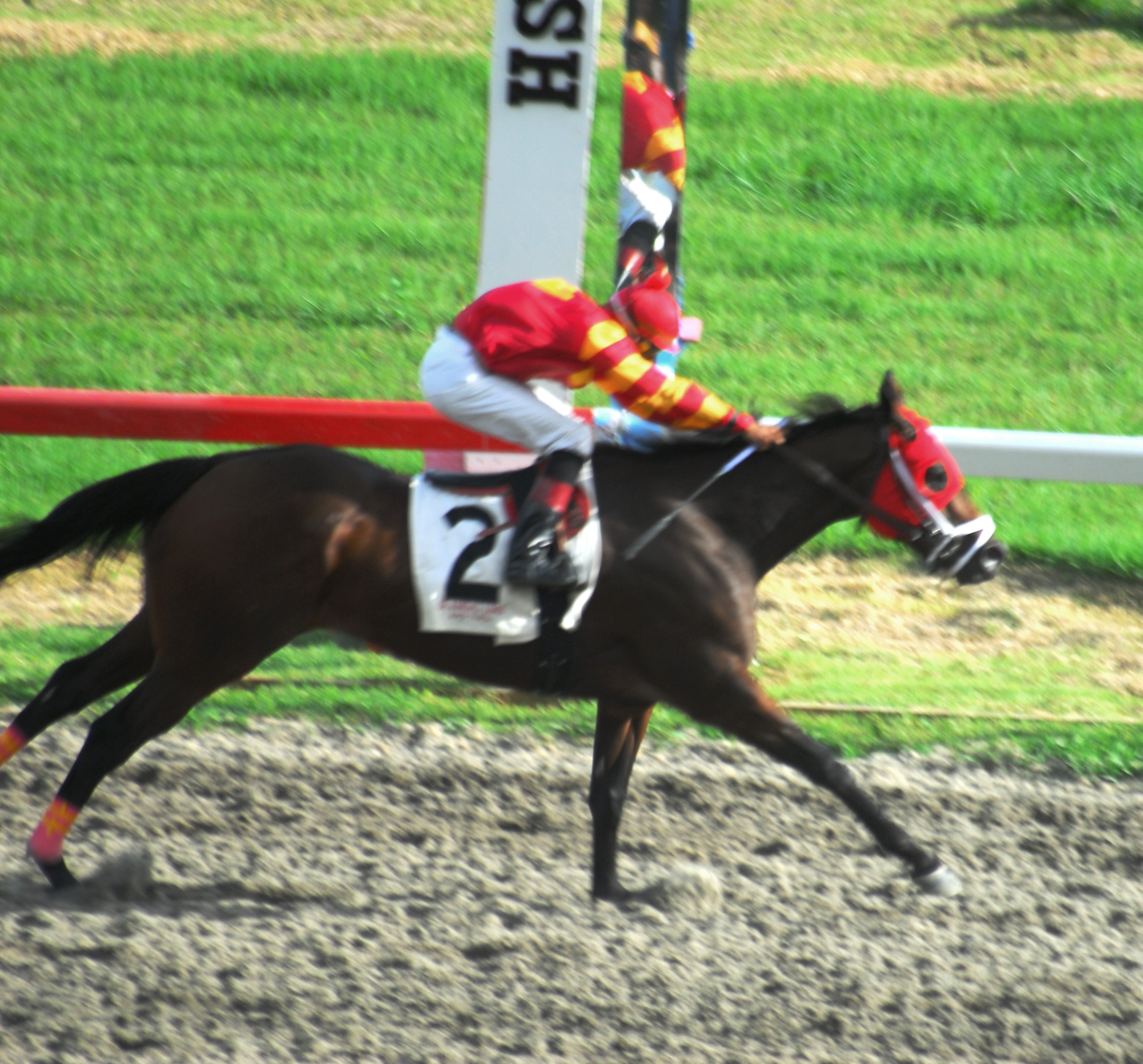 Slevin, the pricey newcomer on the V.I. racing scene, debuted with easy win in the featured seventh race.