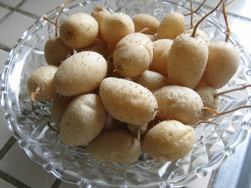 Tipee Tambo in a bowl.