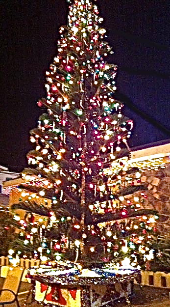 Frenchtown's Christmas tree.