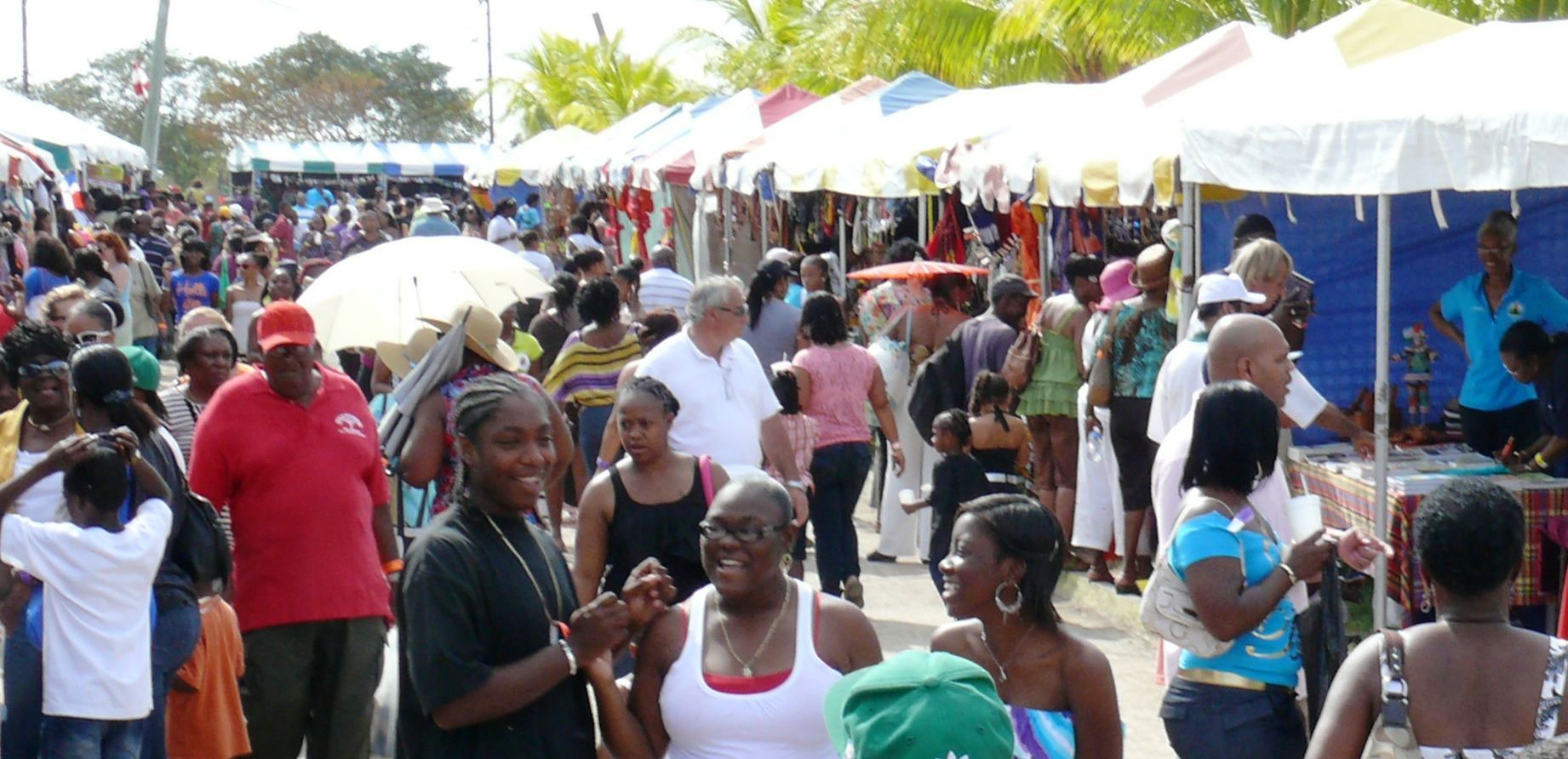 Throngs strolling about at Agrifest 2012.