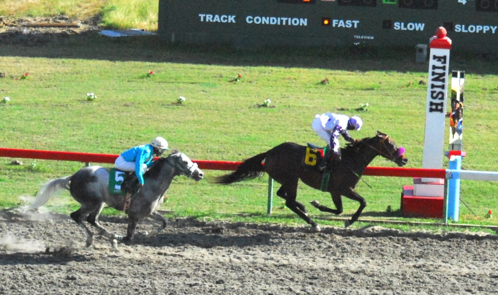 Prince Crystal leads Creation Rebel to the wire last race day.