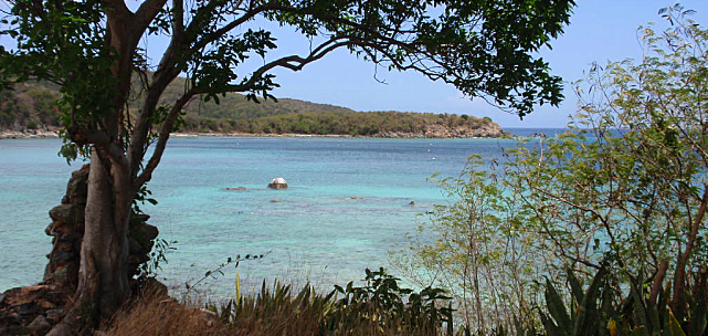 A road that continued though from Lameshur to Reef Bay to Fish Bay is now a trail (SAP photo)..