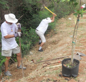 Volunteers plant trees at Smith Bay Park.