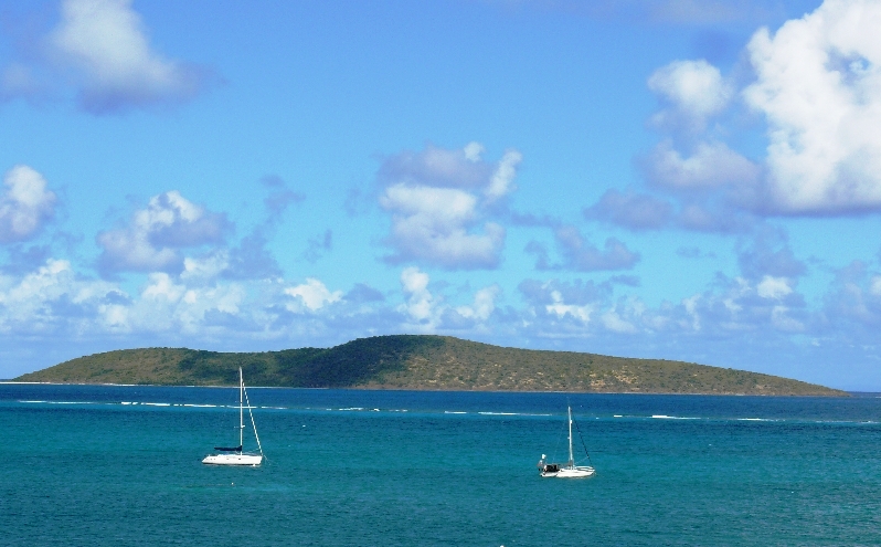 Buck Island seen from St. Croix (Bill Kossler photo).