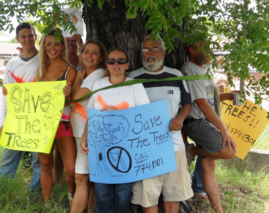 Demonstrators tie themselves to a tree in protest Havensight's planned tree removal.