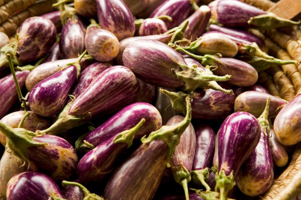  Sustainably farmed local eggplant (Photo courtesy Ridge to Reef Farm).