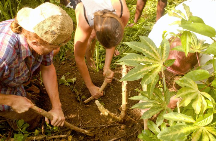  Farming the right way can be arduous (Photo courtesy Ridge to Reef Farm).