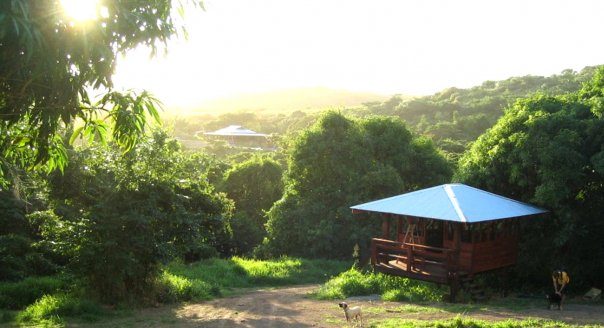 Farming in a beautiful place (Photo courtesy Ridge to Reef Farm).