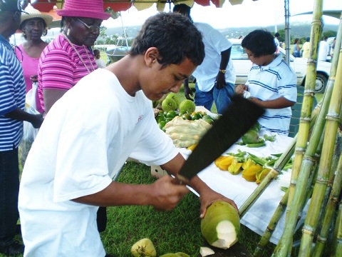 At World Food Day 2009, Genesis Herrera sliced open a coconut for its water (file photo). 