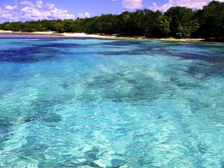 Sun, sand and … forests? Trees are an essential part of the landscape.