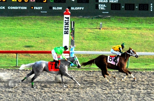 St. Thomas' Sweet Sight blew by Gato Paso to take Sunday's feature on St. Croix.