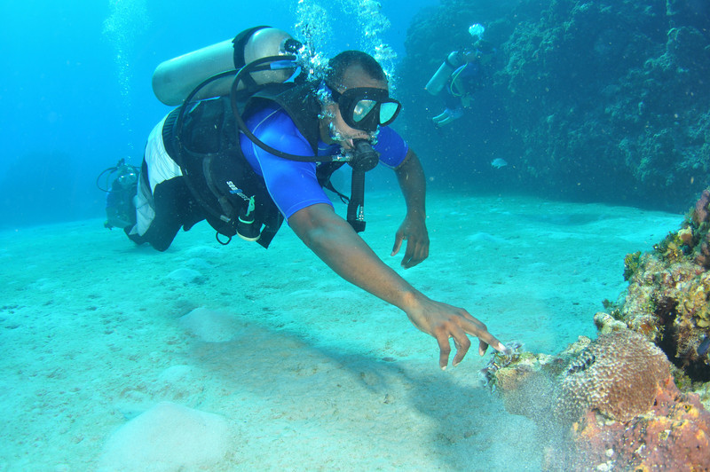 Julien Henley explores a Caribbean reef.