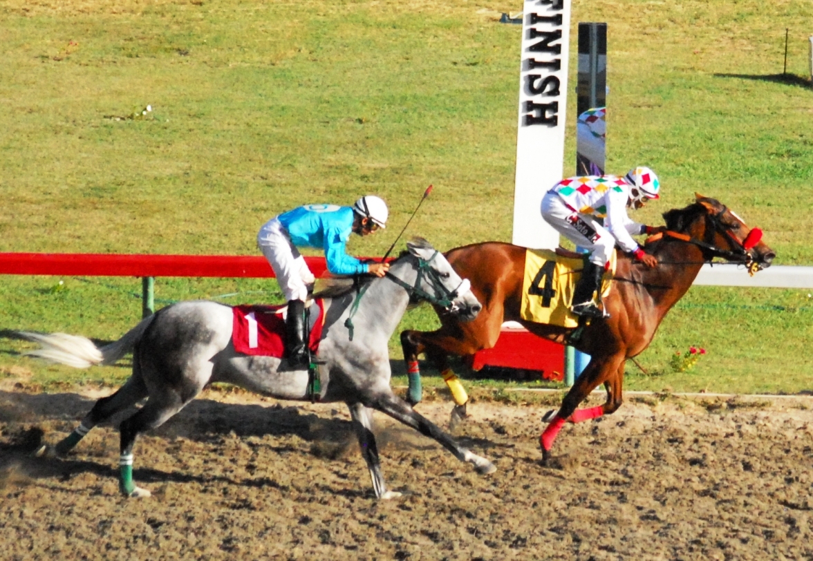 St. Thomas' Master Deposit at the wire in "Budhoe Classic."