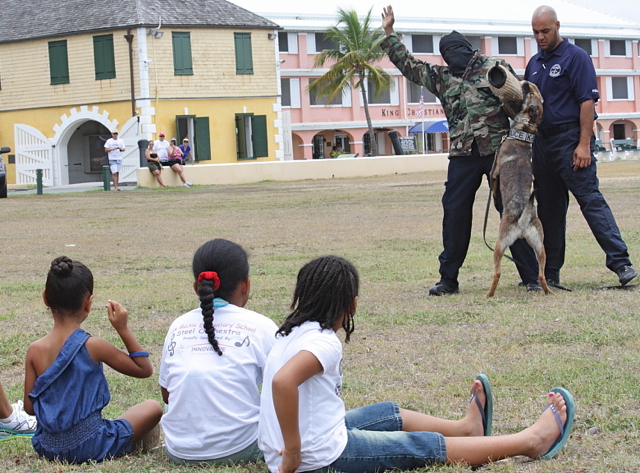 Children watch as VIPD K-9 Instructor Jason Viveros apprehends a fugitive with his dog, Luca, during a demonstration at the National Park Services family fun day.