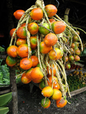 Peach Palm Fruit or Peewah. 