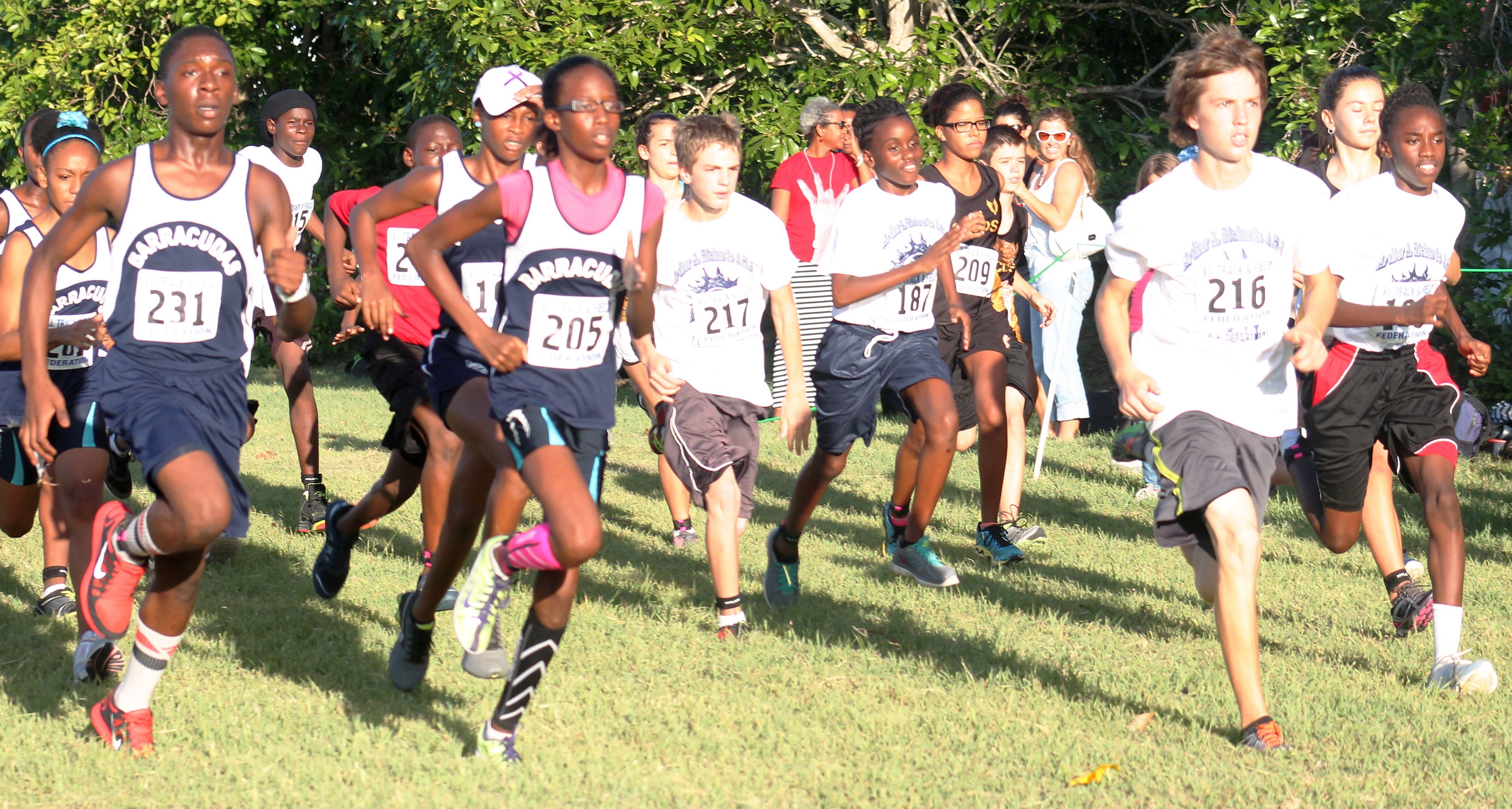 4H/ VIPace Runners Cross-Country Race
