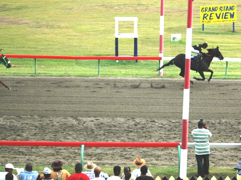 Cherokee Law, with Kerwin John in the irons, wins easily ahead of Green Sand in Sunday's feature.