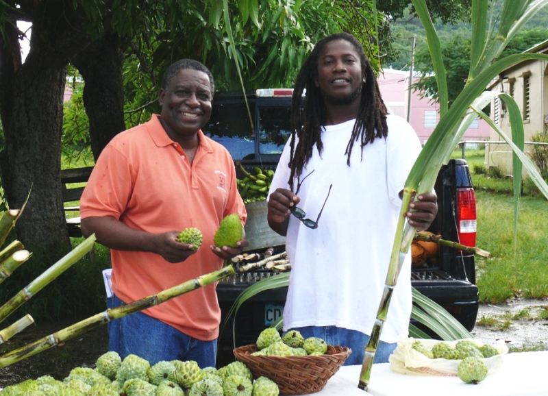 Lt. Gov. Gregory Francis buys a sugar apple and small soursop from Percival Edwards at Monday's D. Hamilton Jackson Day celebration in Estate Grove Place.